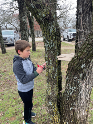 You Don’t Need the Perfect Curriculum to Homeschool