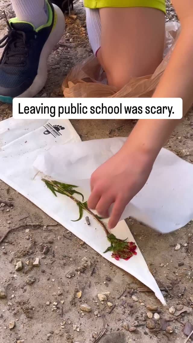 While I didn’t realize it at the time, we didn’t leave public school on a whim. It was years worth of misgivings that lead us here.  
After we left it was hard, but, there were some pretty special moments that kept us going. 

More connection. More freedom. More presence.

Unschooling gave us permission to rewrite what learning looks like—and it’s been the most beautiful kind of messy.
 Have you made the leap? I’d love to hear your “why.” Drop it below or send me a message 💛
#homeschooling #unschooling #homeschool #homeeducation #naturallearning #homeschoolmom #homeschoollife #homeschoolinspiration #homeschoolingmom