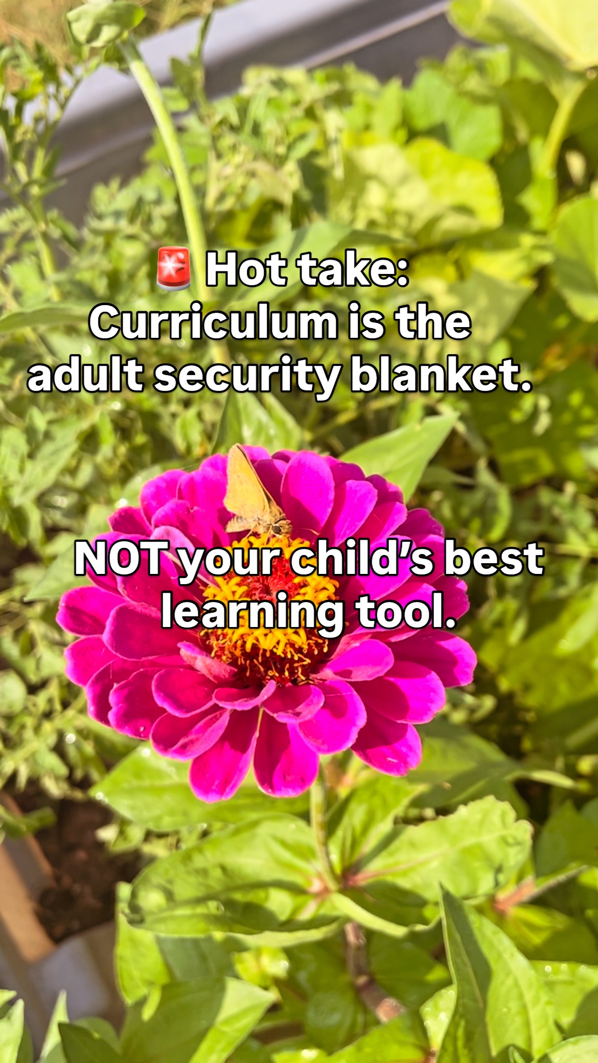 Let’s get uncomfortable for a minute….

Is the rigid curriculum and checking all the boxes to help our kids- or make ourselves more comfortable?

Learning doesn’t require a curriculum. It requires connection, curiosity, and courage. 

There’s other options. Break free from the chains of government education still holding so many homeschoolers back. 

If you feel something is still missing from your homeschooling, I encourage you step out of your comfort zone and learn something new WITH your kiddos, WITHOUT and expensive box of materials. 

👇 drop a 🔥 if this hits home for you. Or tag the friend who keeps asking what program to use. 

📢 save this if you are questioning everything and good, you should be. 

#homeschool #homeeducator #homeschoolingmom #homeschoolingfamily #unschool #naturallearning #curriculum #homeschoolcurriculum