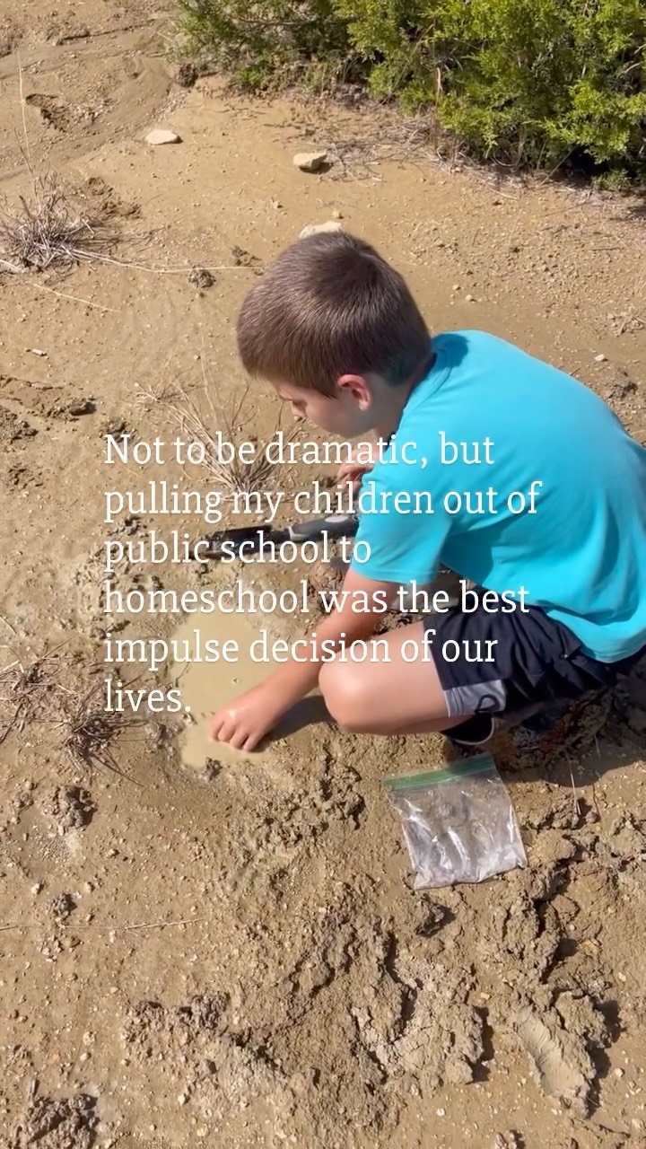 If you are on the fence…here’s your inspiration to make the change. 

You don’t have to wait (we pulled out of school on a random February day). If you feel called to homeschool, start now and you get the bonus of enjoying a slower, more connected holiday season. 

If this speaks to you, hit the follow button. 

#homeschooling #unschooling #naturallearning #homeeducation #homeschoolmom #homeschoollife #homeschoolingmom #homeschoolingmomma