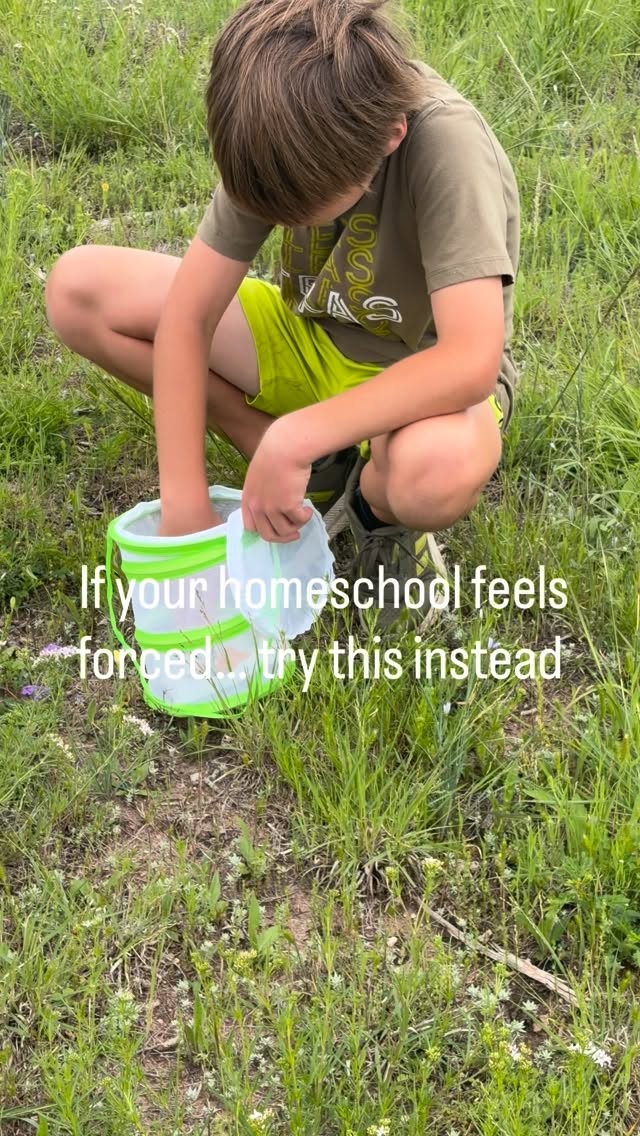 Homeschool days: every mom needs to try this at least once

Have a nothing planned day.

No schedule.
No checklist.
No pressure to be productive.

Just follow your child.
See what they gravitate toward.
What questions they ask.
What holds their attention.

Because those moments?
That’s where the real learning lives.

And honestly…those are the days you’ll remember most.

#homeeducation #naturallearning #homeschoolfamily #ditchthesystem #unschooling